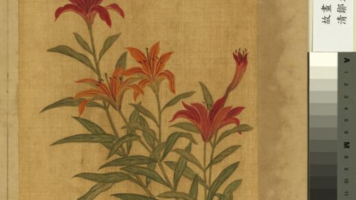 清邹元斗花卉册姬百合.jpg