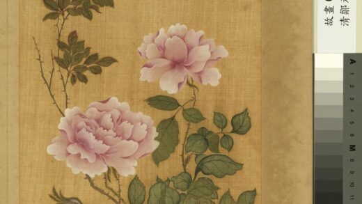 清邹元斗花卉册月季.jpg