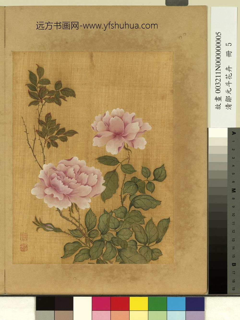 清邹元斗花卉册月季