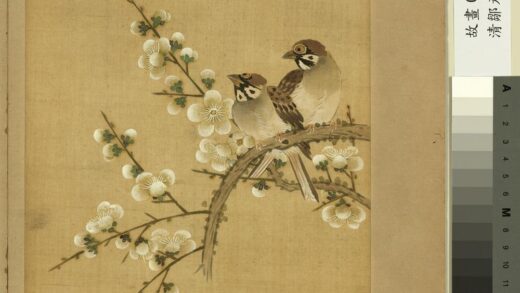 清邹元斗花卉册梅.jpg