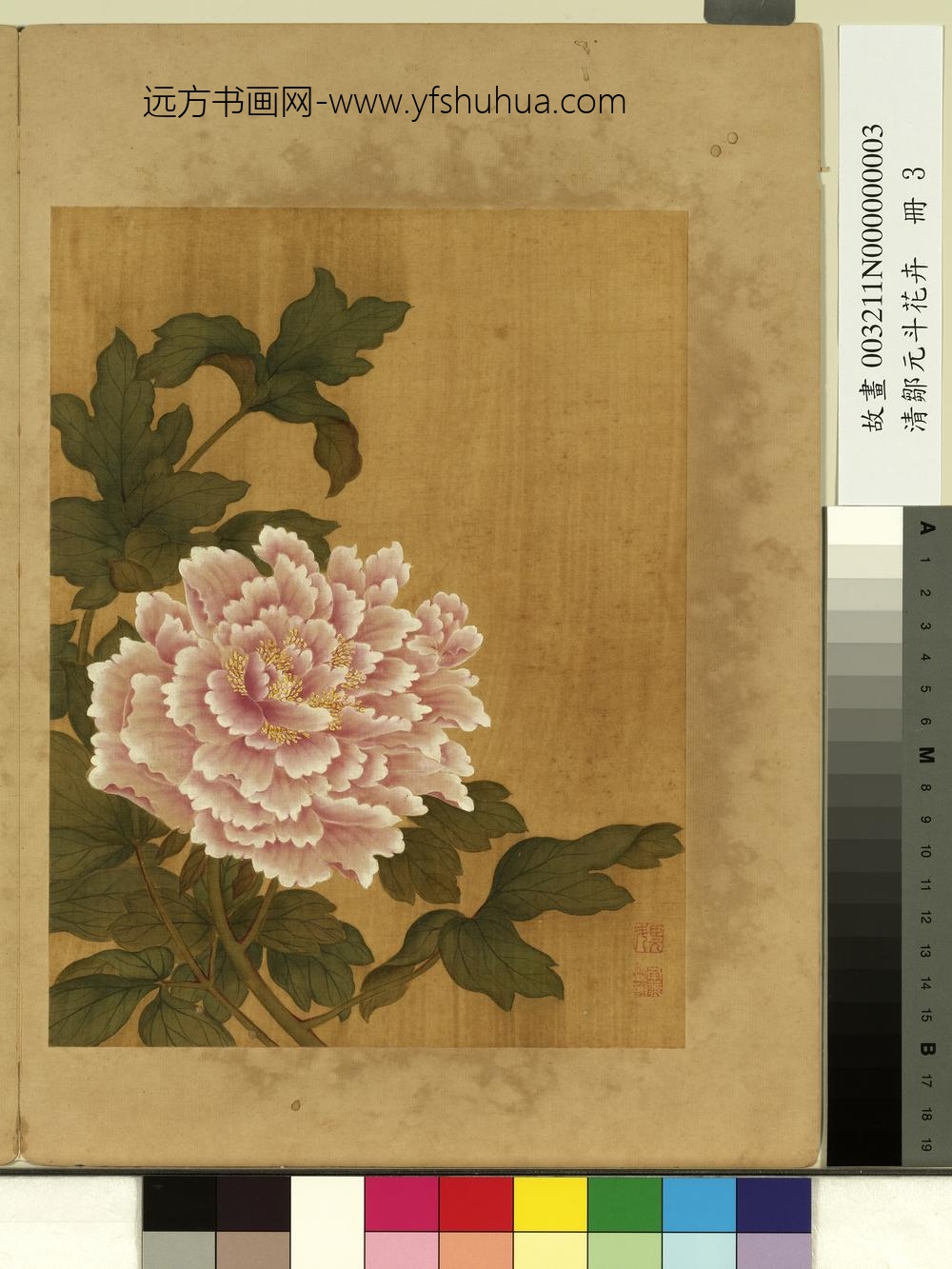清邹元斗花卉册牡丹