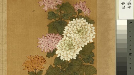 清邹元斗花卉册菊.jpg