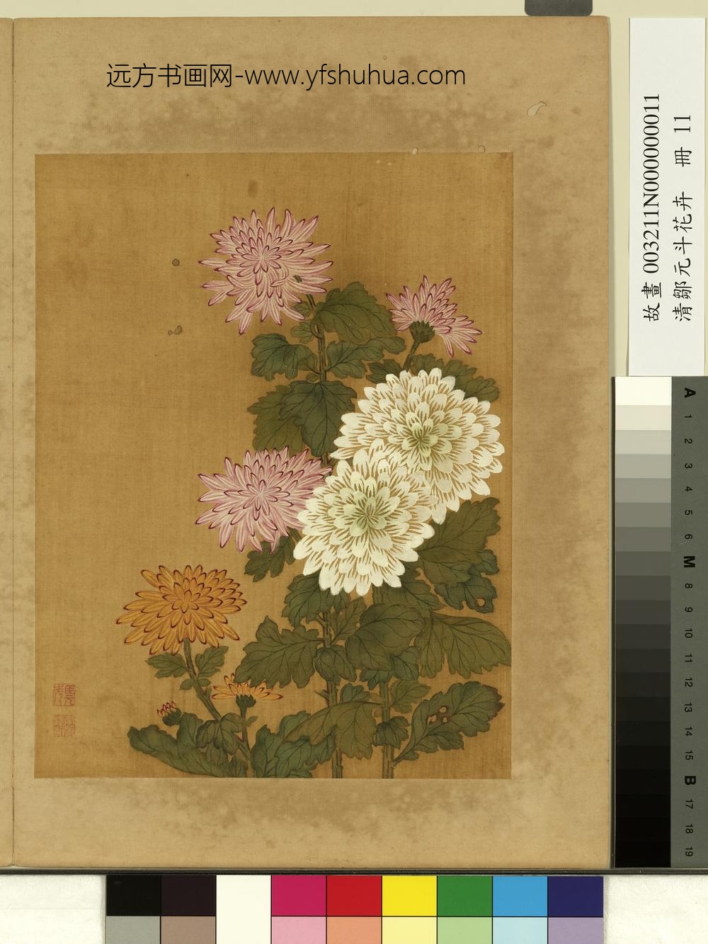 清邹元斗花卉册菊