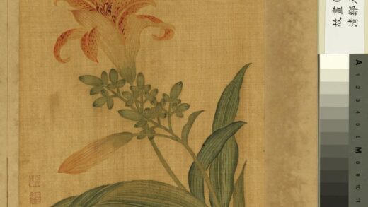 清邹元斗花卉册萱花.jpg