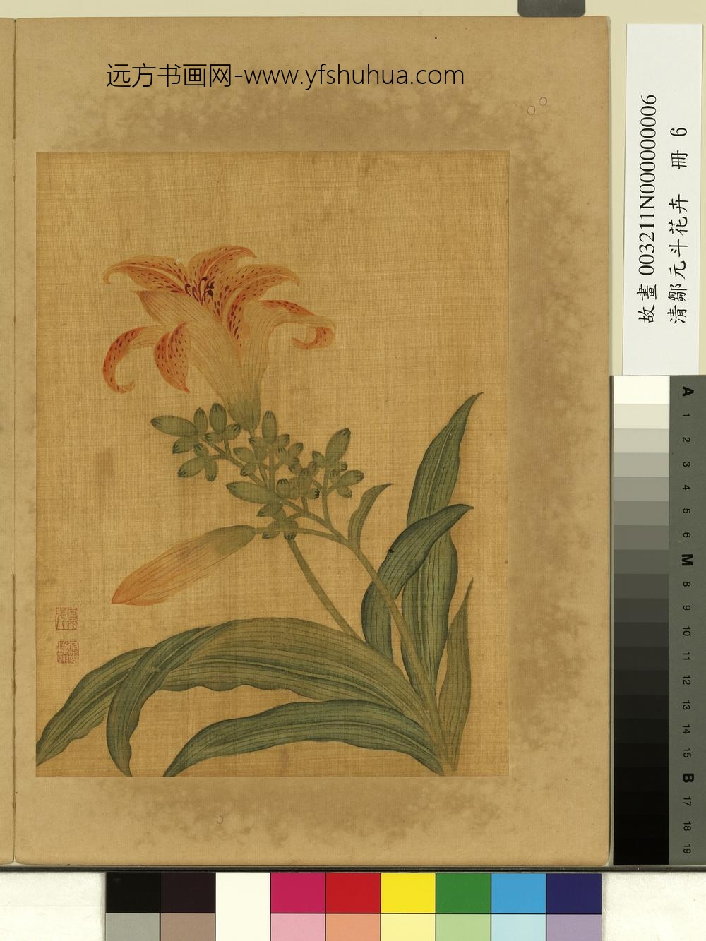 清邹元斗花卉册萱花