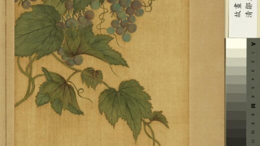 清邹元斗花卉册葡萄.jpg