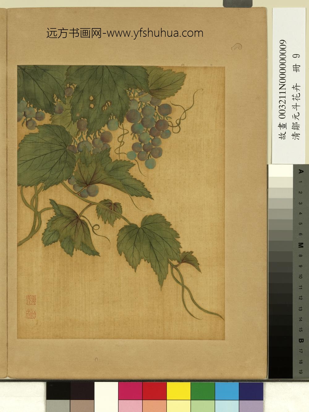 清邹元斗花卉册葡萄