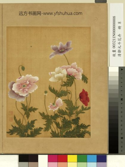 清邹元斗花卉册虞美人.jpg