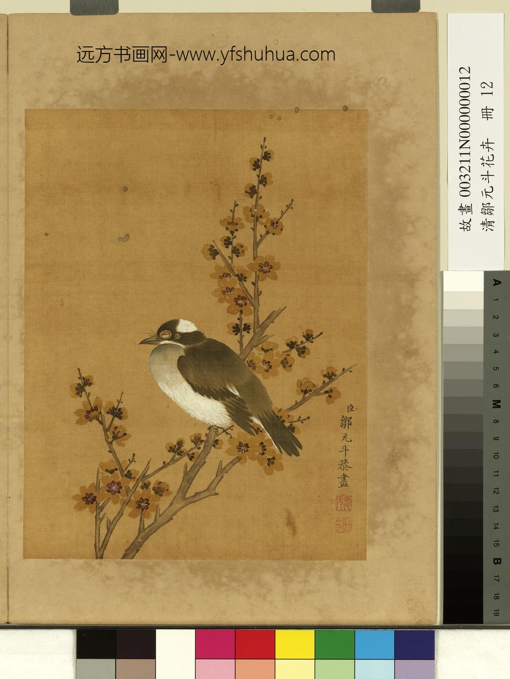 清邹元斗花卉册蜡梅