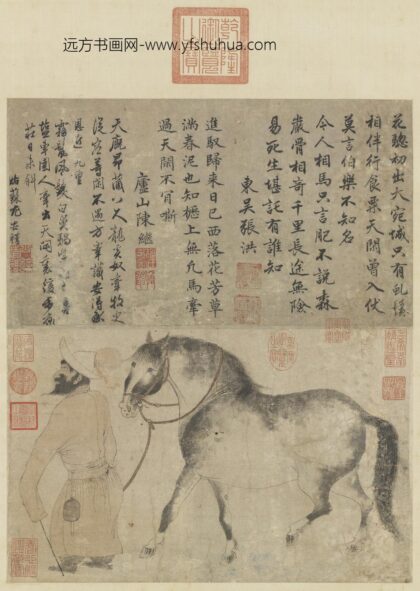 赵孟頫 白鼻䯄图.jpg