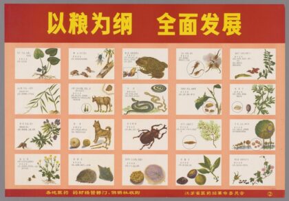 为革命种药为革命采药 1.jpg