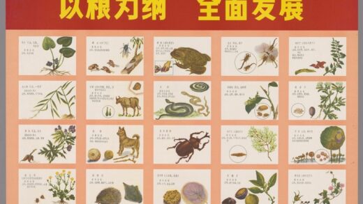 为革命种药为革命采药 1.jpg