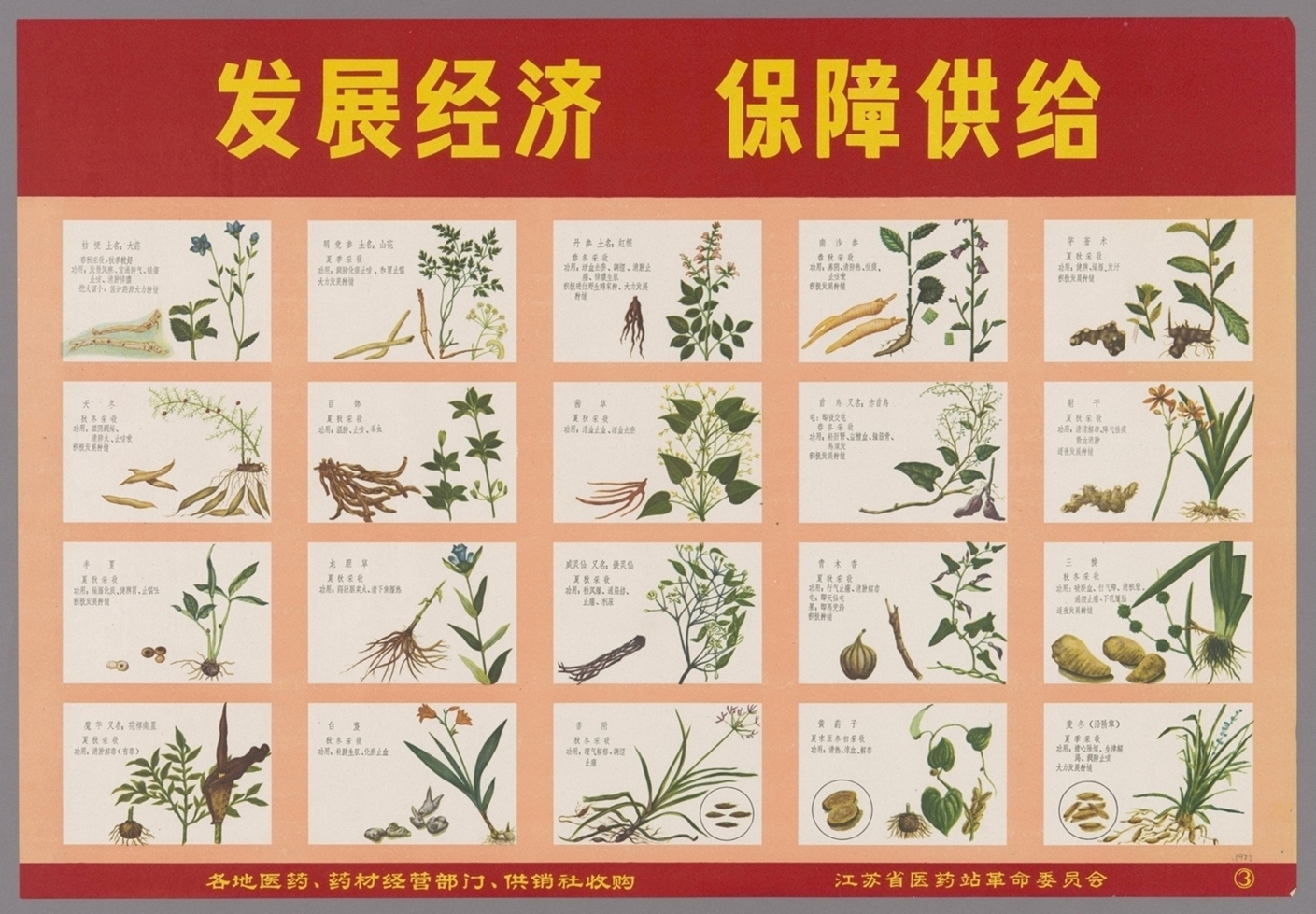 为革命种药为革命采药-