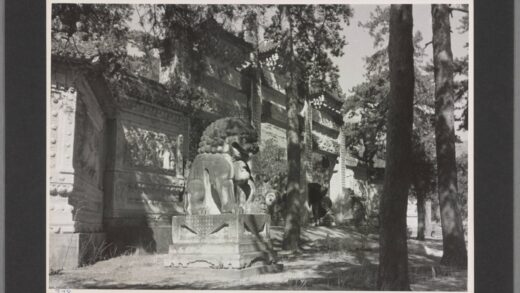 北京西山碧云寺阴狮雌兽老照片.jpg