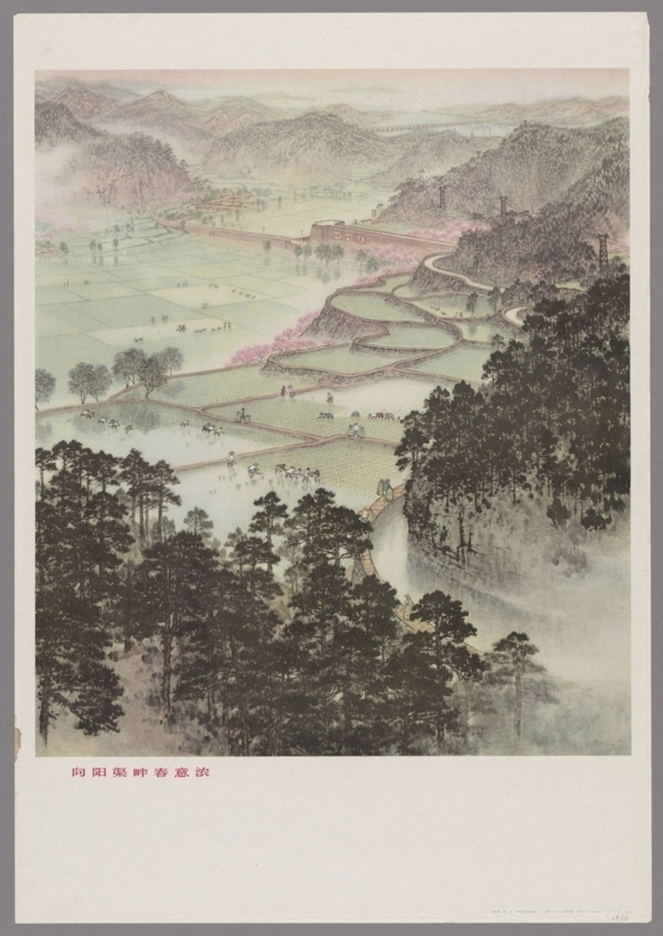 向阳渠畔春意浓