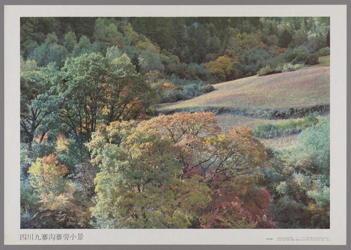 四川九寨沟寨旁小景