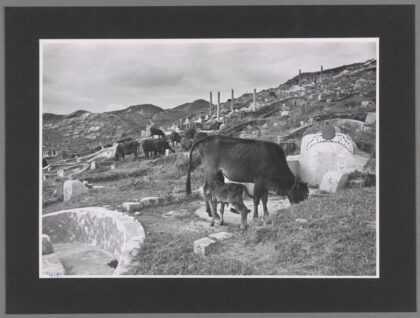 广州白云山马蹄形墓地陡峭山坡坟墓分布.jpg