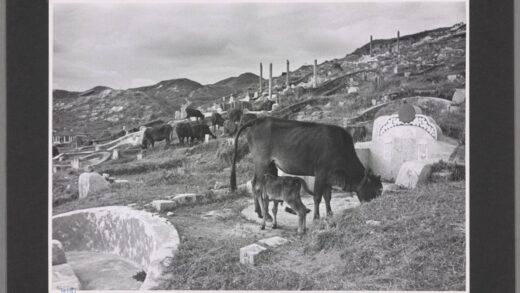 广州白云山马蹄形墓地陡峭山坡坟墓分布.jpg
