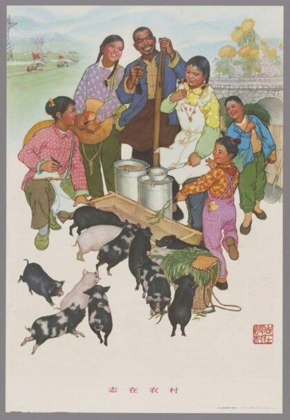 志在农村.jpg