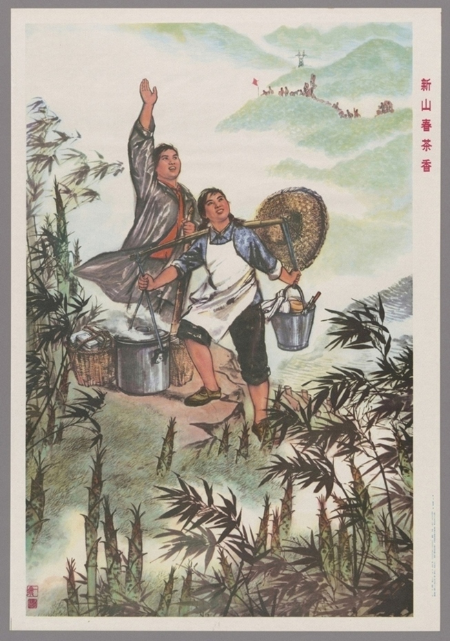 新山春茶香