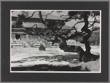 明十三陵北京西山永乐陵祾恩殿中国古建筑长70码宽30码老照片.jpg