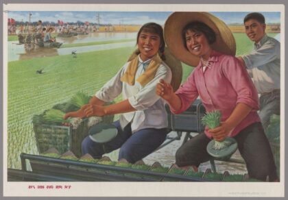 机器插秧好.jpg