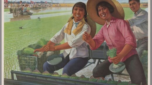 机器插秧好.jpg