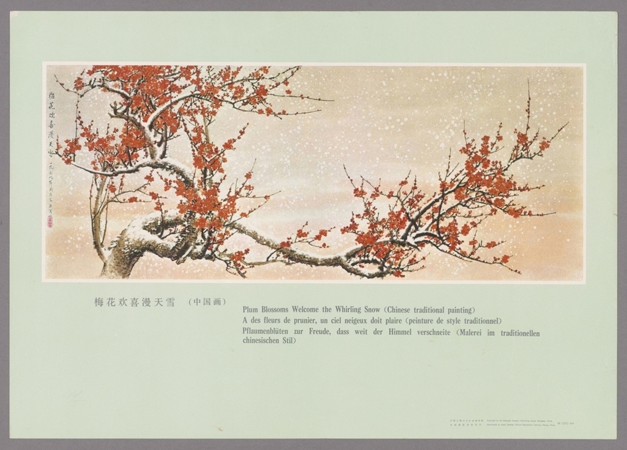 梅花欢喜满天雪中国画