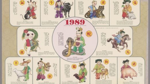 生育动物.jpg