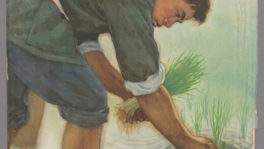 知识分子劳动化在实际斗争中锻炼在工农群众中扎根.jpg