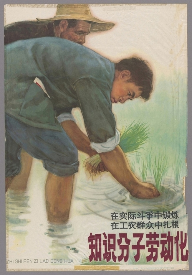知识分子劳动化在实际斗争中锻炼在工农群众中扎根