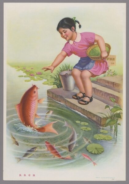 队队有鱼.jpg