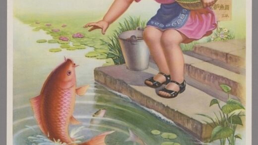 队队有鱼.jpg