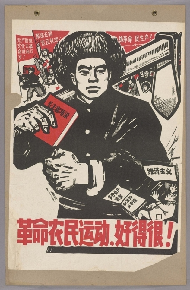 革命农民运动好得很