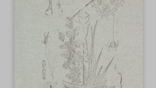 安徽南陵木版年画 五毒图.jpg