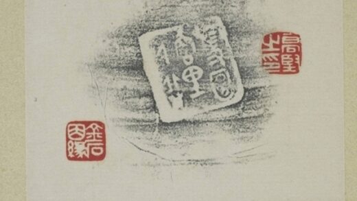 霍陶里豆.jpg