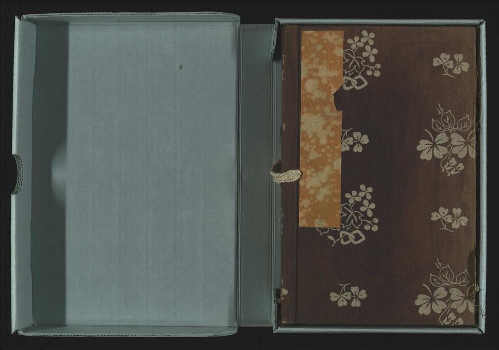 _钦定武英殿聚珍版程序__