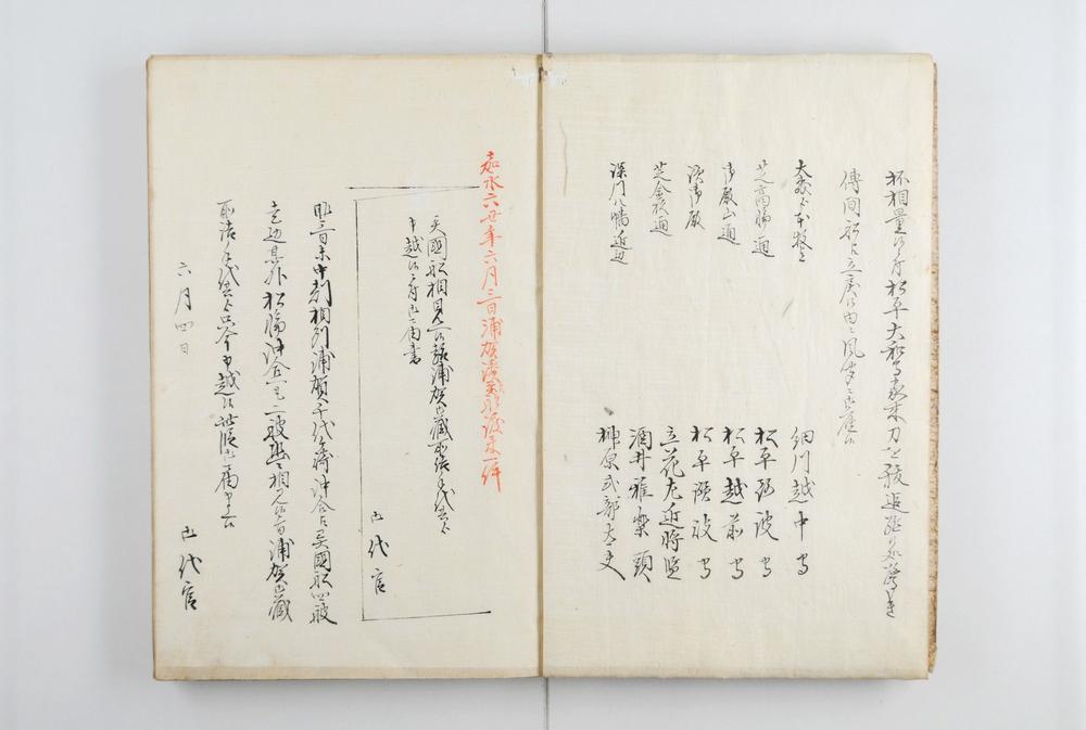 _异国船渡来风闻书__