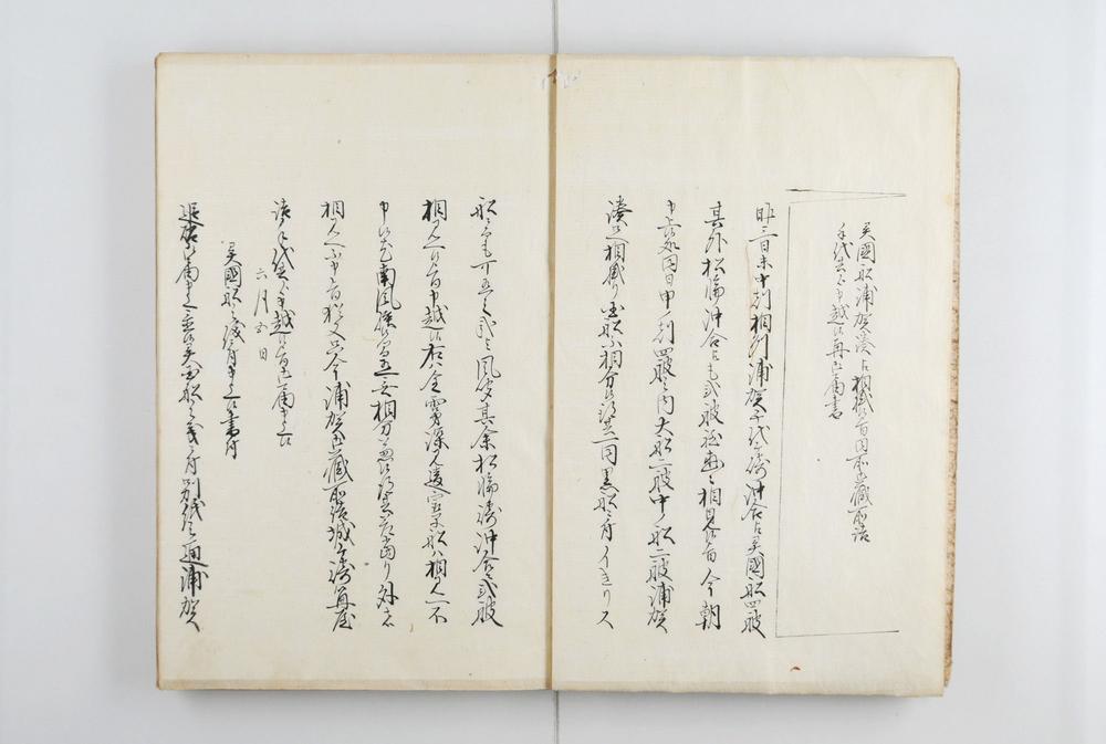 _异国船渡来风闻书__