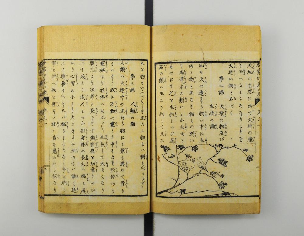 _启蒙知恵的环__