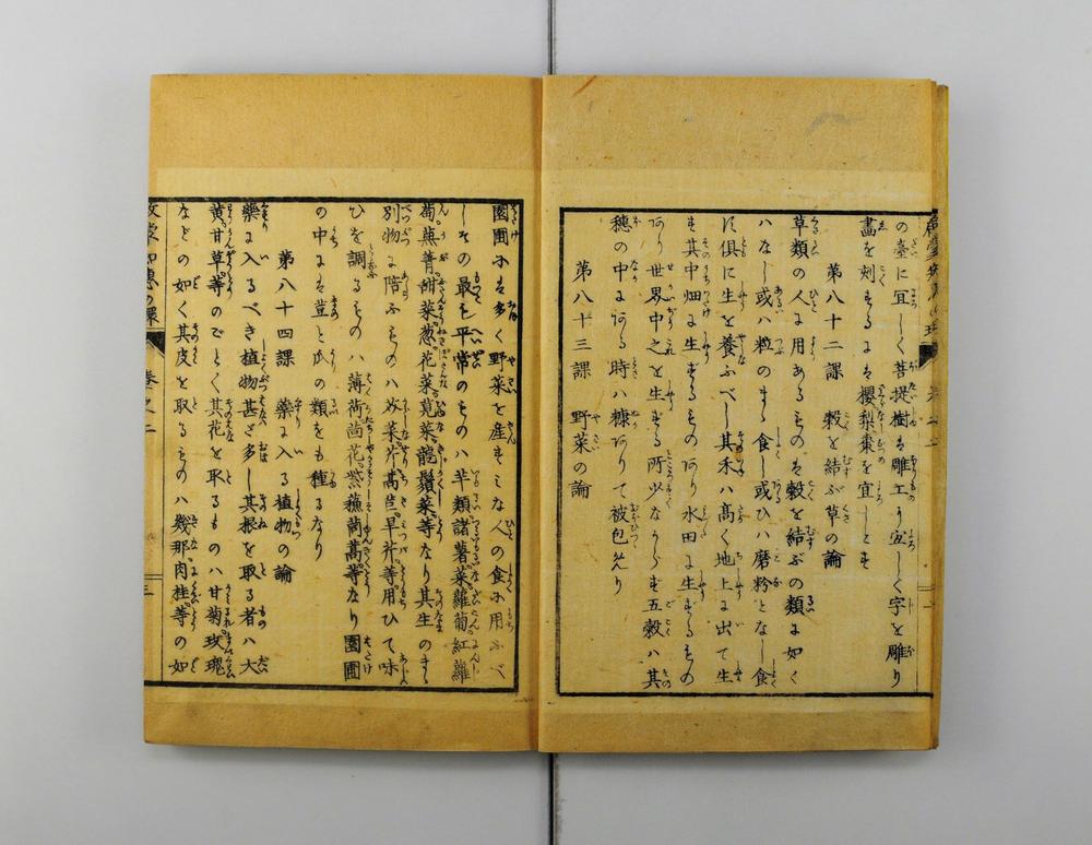 _启蒙知恵的环__