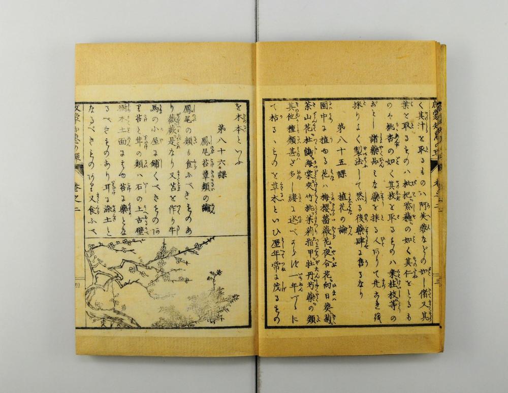 _启蒙知恵的环__