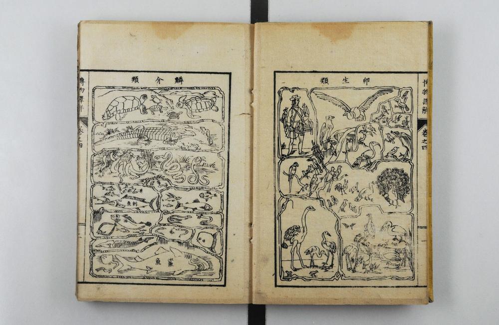 _博物新编译解__