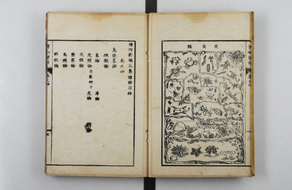 _博物新编译解__