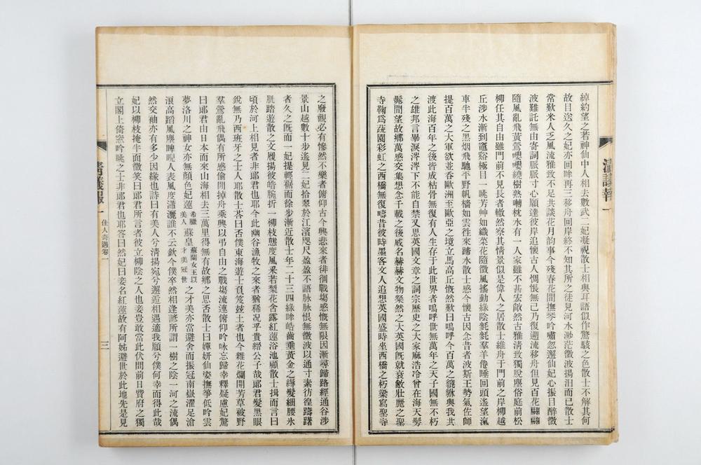 _政治小说佳人之奇遇__