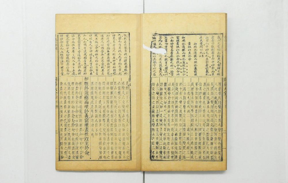 _周易传义大全__