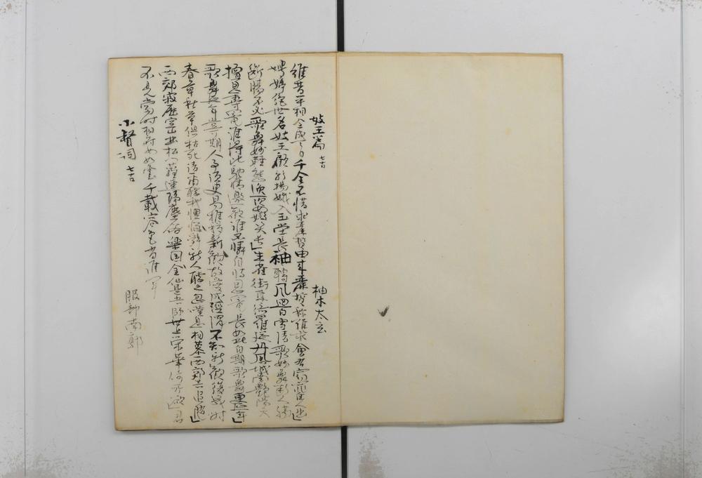 _咏史诗选草稿__