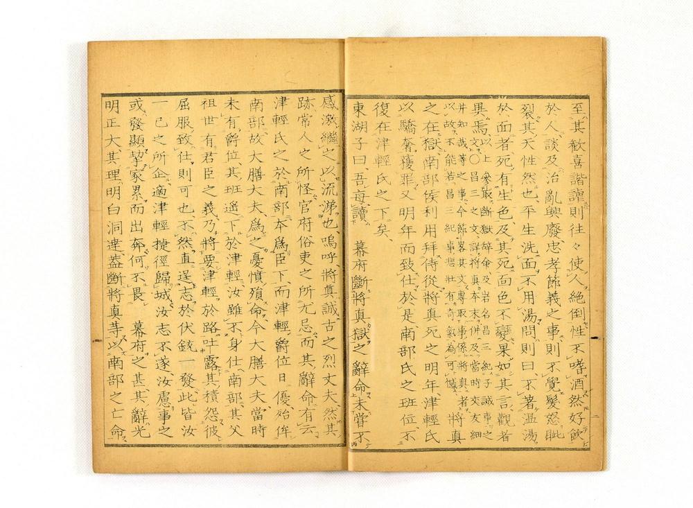 _东湖先生遗文__