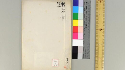 0761 九命草 0621202940 1.jpg