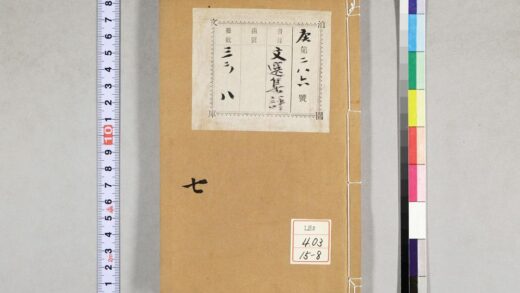 0786 重订文选集评 0621203036 1.jpg